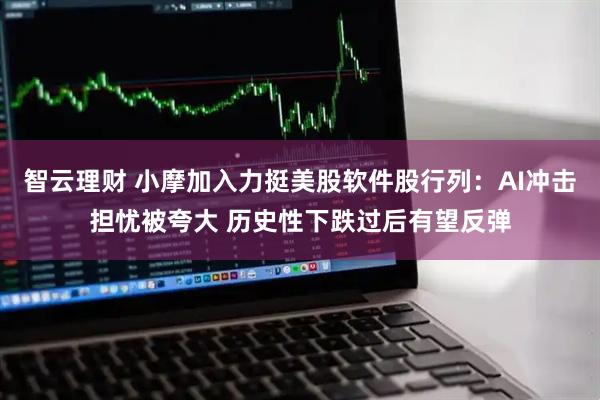 智云理财 小摩加入力挺美股软件股行列：AI冲击担忧被夸大 历史性下跌过后有望反弹