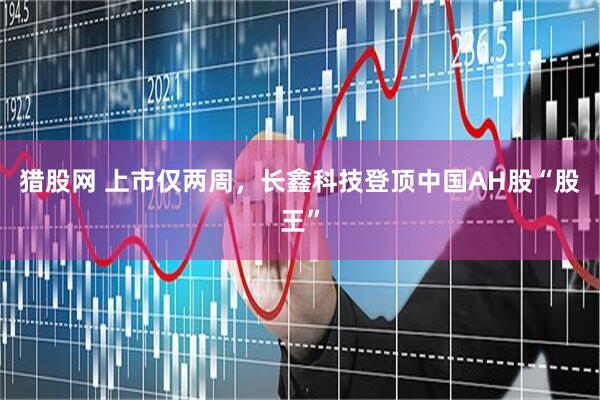 猎股网 上市仅两周，长鑫科技登顶中国AH股“股王”